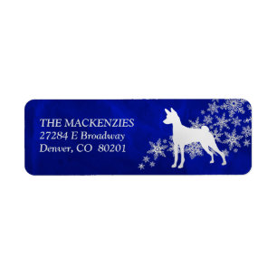 Blue Winter Basenji Adresse de retour