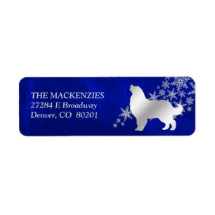 Blue Winter Bernese Mountain Dog Retour Adresse