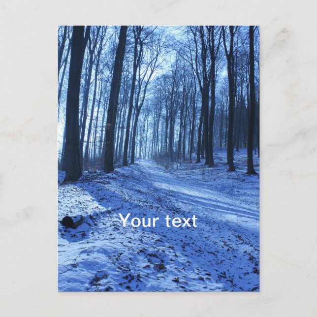 Blue Winter Landscape Postcard (Front)