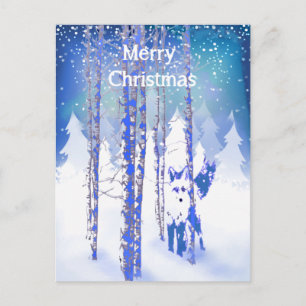 Blue Winter Snow Forest Fox Animal  Foxes Postcard