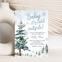 Blue Winter Wonderland Baby Shower 
