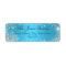 Blue Winter Wonderland Christmas Address Labels