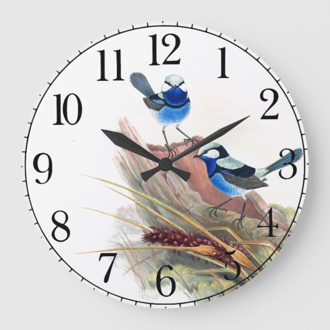 Blue Wren Birds Wildlife Animals Wall Clock (Front)