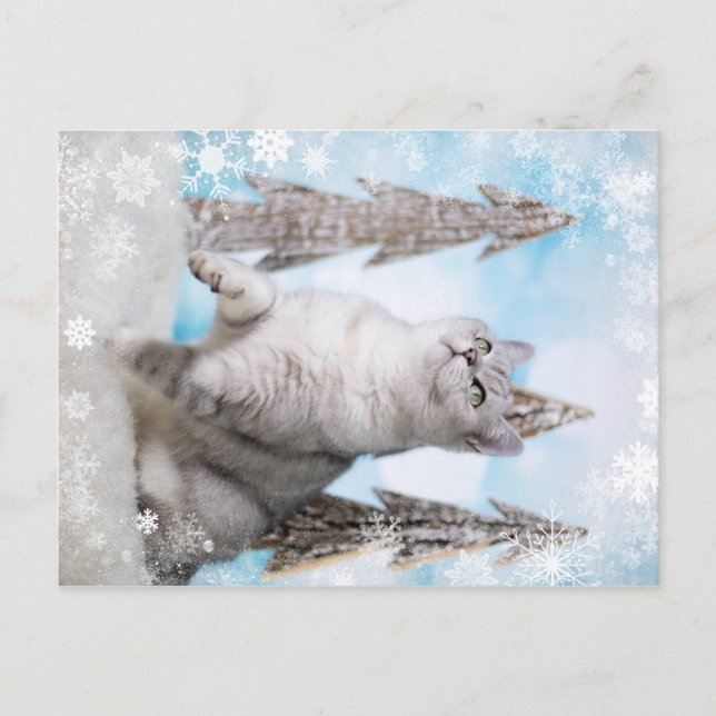 Blue XMAS 2018 Holiday Postcard (Front)