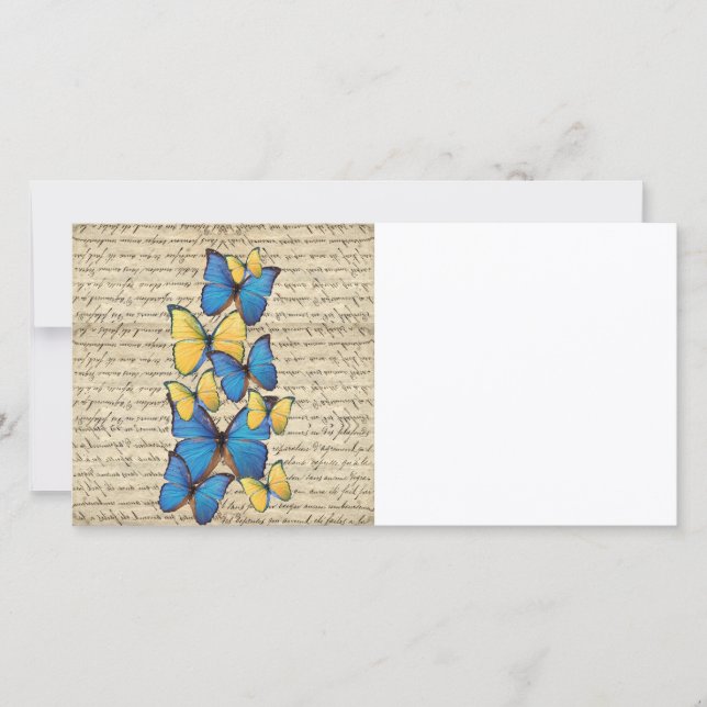 Blue & yellow butterrflies (Front)