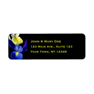 Blue & Yellow Iris Flowers 4b