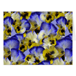 Blue Yellow Pansies Flowers