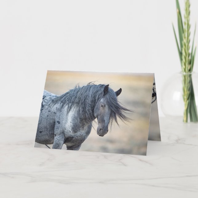 Blue Zeus Wild Greeting Card (Front)