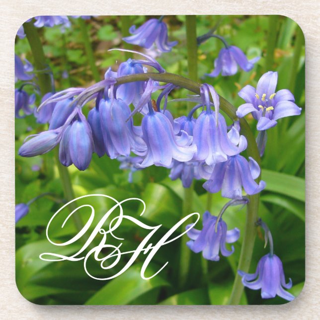Bluebell  ~  Coasters with Monogram (Front)