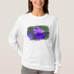 Bluebell flower in Independence Pass in T-Shirt