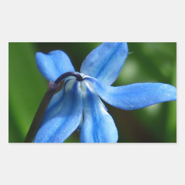 Bluebell Flower Sticker (Front)