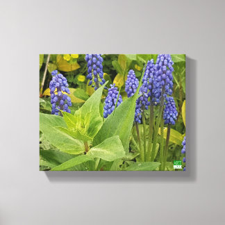 Bluebell Flowers Art Photo Imprimer Sur Toile