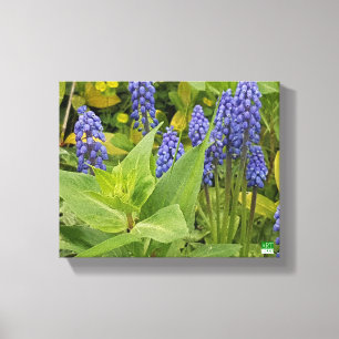 Bluebell Flowers Art Photo Print On Canvas