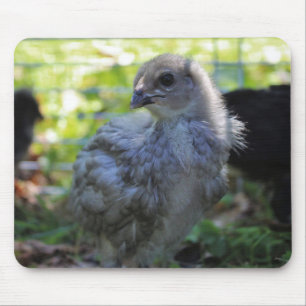 Bluebell Mouse Pad