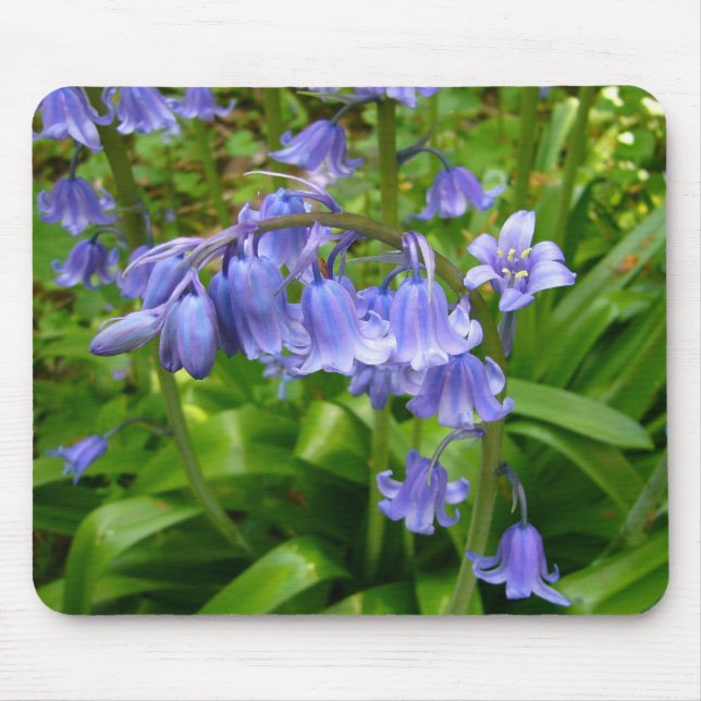 BLUEBELL ~ Mousepad # 3 (Front)