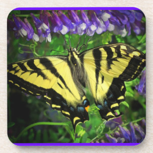 Bluebell Nectar for Butterfly Lunch Coaster