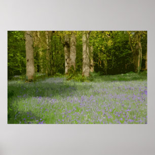 BLUEBELL WOOD 2 POSTER