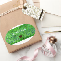 Bluebell Wood Hedgehogs