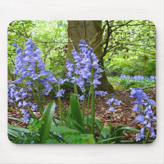 BLUEBELL WOOD ~ Mousepad # 3 (Front)