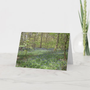 Bluebell Wood Poynton Cheshire Postcard