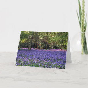 Bluebell Woods, England Card