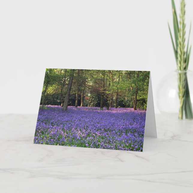 Bluebell Woods, England Card (Front)