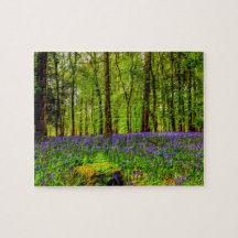 Bluebell Woods