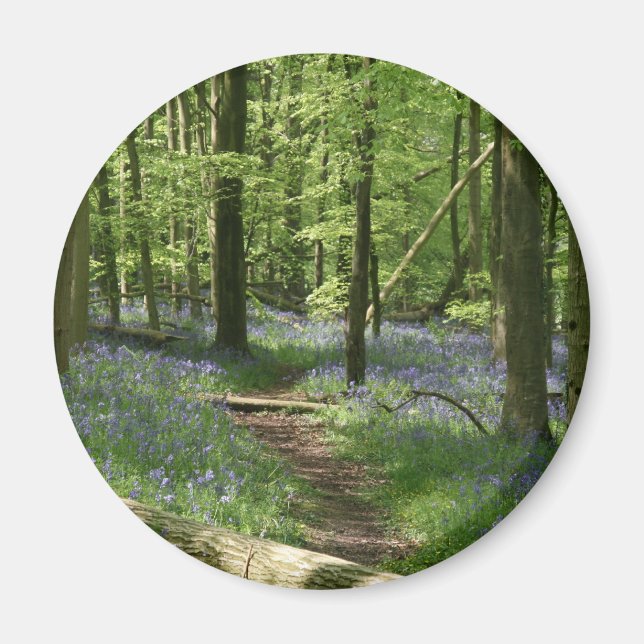 Bluebell woods magnet (Front)