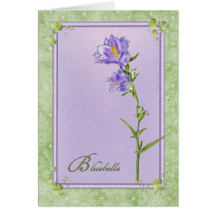 Bluebells