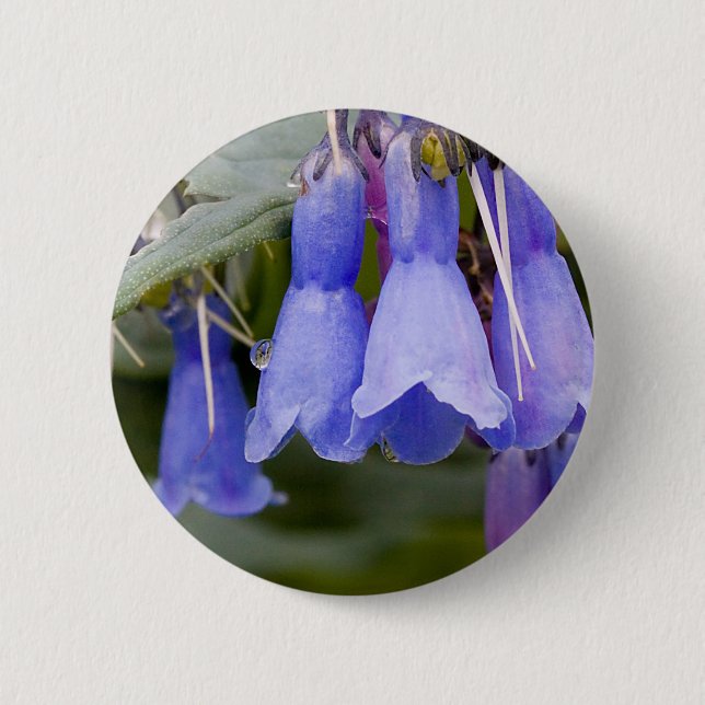 Bluebells 2 Inch Round Button (Front)
