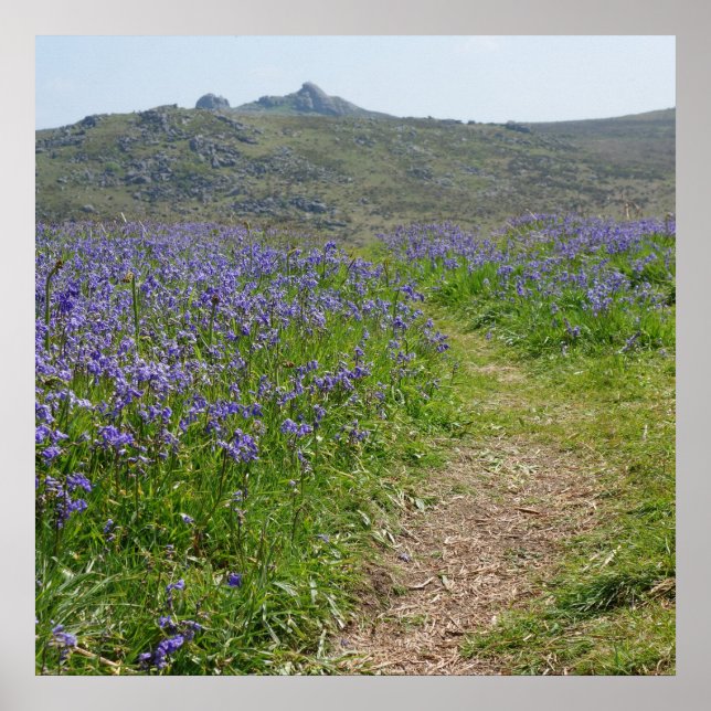 Bluebells and Hay Tor Poster (Front)