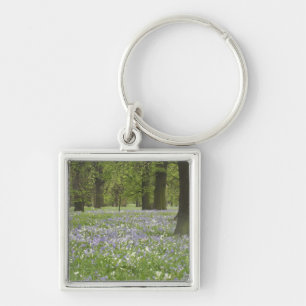 Bluebells and Oak Trees in Spring, Little Hagley Keychain