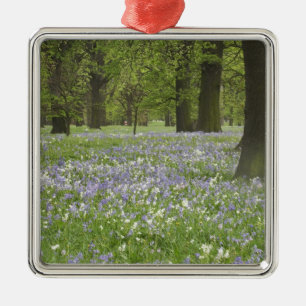 Bluebells and Oak Trees in Spring, Little Hagley Metal Ornament