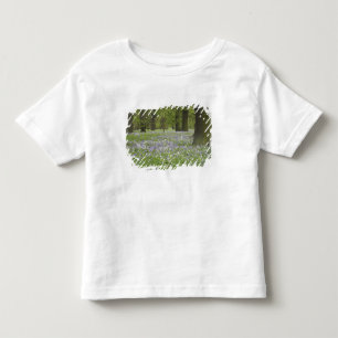 Bluebells and Oak Trees in Spring, Little Hagley Toddler T-shirt