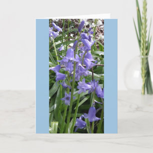 Bluebells Close Up Photo Card - Tall
