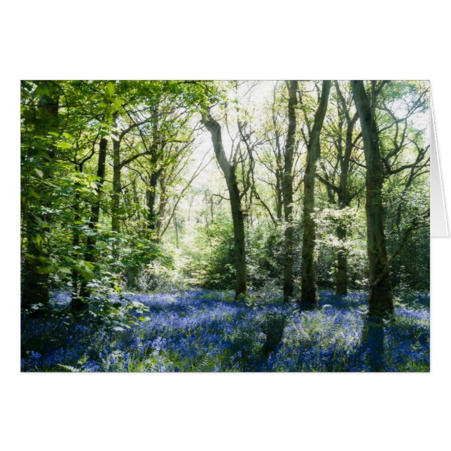 Bluebells et faisceaux de soleil de printemps (Devant horizontal)