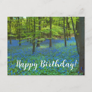 Bluebells Floral Elegant Flowers Birthday Postcard