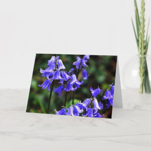Bluebells fractalised card