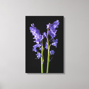 Bluebells, From the very Woods I Created! Canvas Print
