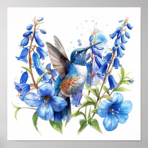 Bluebells Hummingbird Watercolor Print 