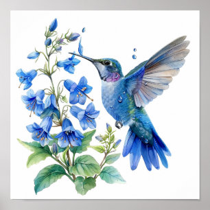 Bluebells Hummingbird Watercolor Print