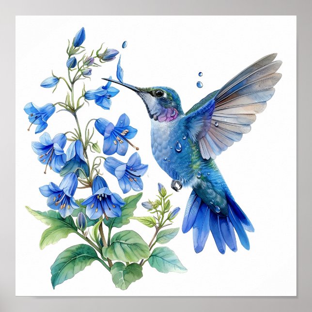 Bluebells Hummingbird Watercolor Print  (Front)