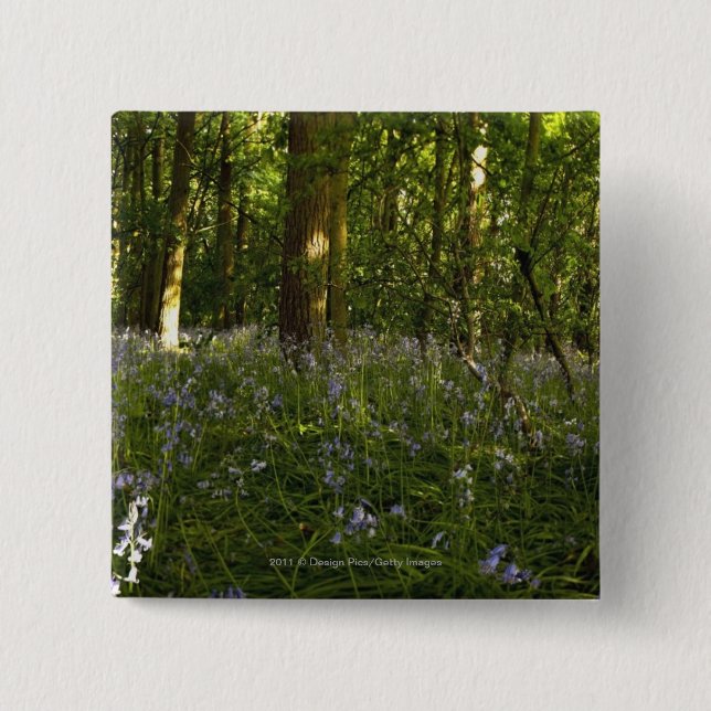 Bluebells In A Forest 2 Inch Square Button (Front)
