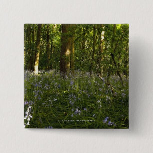 Bluebells In A Forest 2 Inch Square Button