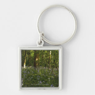 Bluebells In A Forest Keychain
