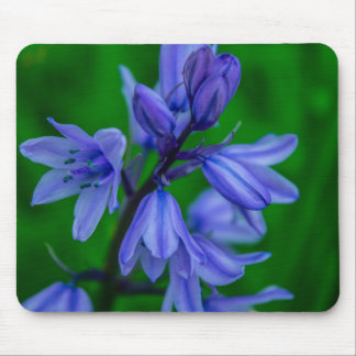 Bluebells Mousemat Mouse Pad