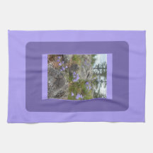 Bluebells on a rocky hillside