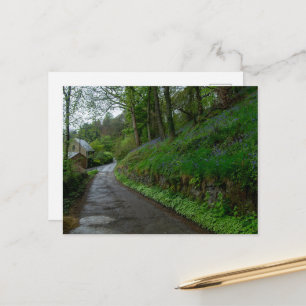 Bluebells on Eastwood Lane Postcard