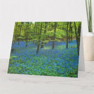 Bluebells Spring Floral Wedding Thank you Card