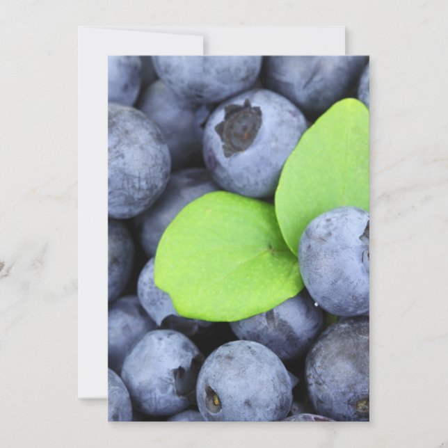 Blueberries (Front)